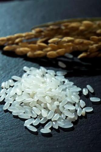 【米面粮油】10kg秋然清香米